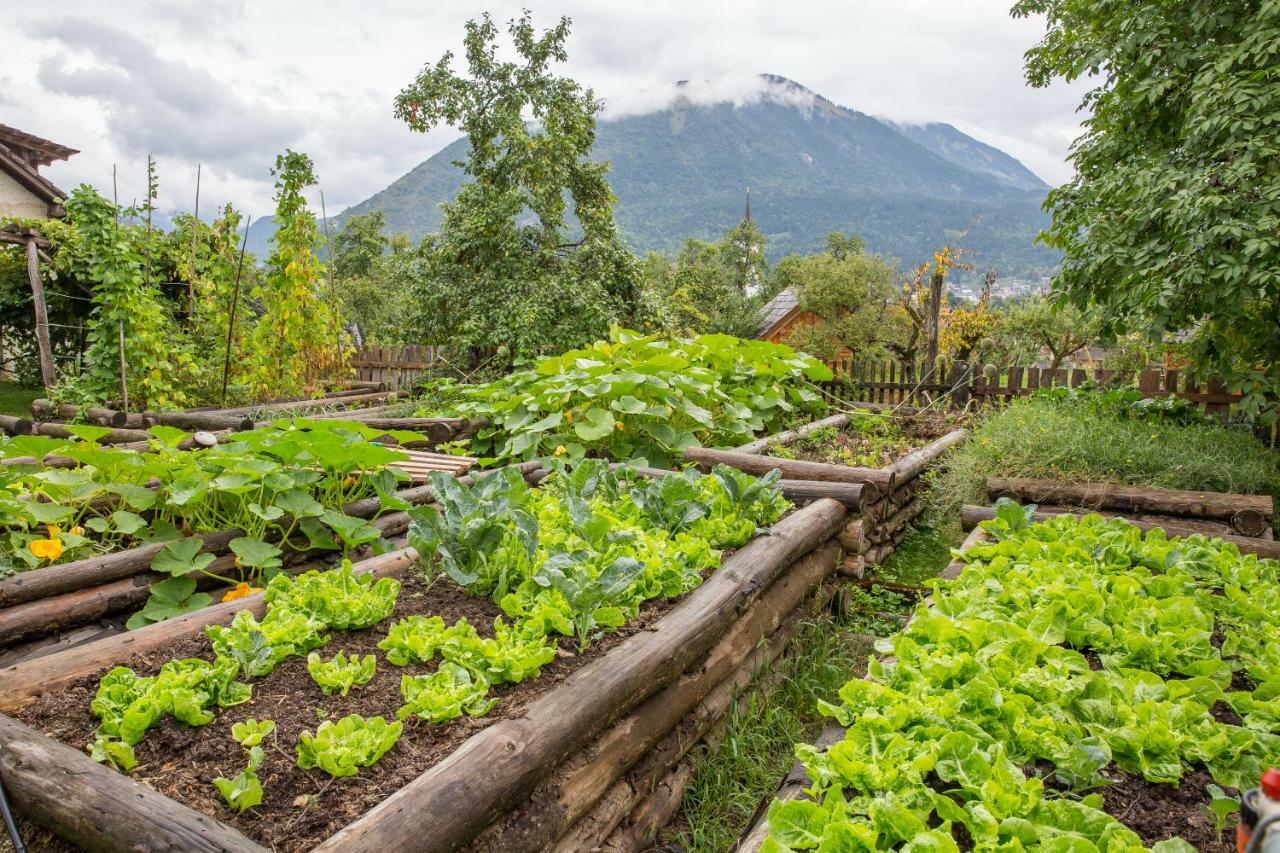 Glamping Organic Farm Slibar Vila Tržič Exterior foto